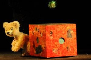 Baer_Licht_2
