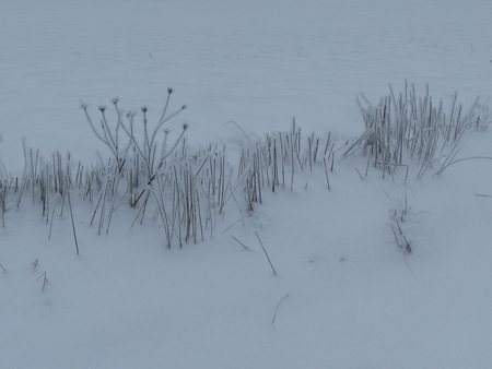 Jan16_21