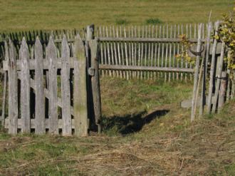 Aufgelassener Bauerngarten