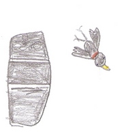 Vogel_04_D